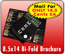 8.5x14 folded brochure